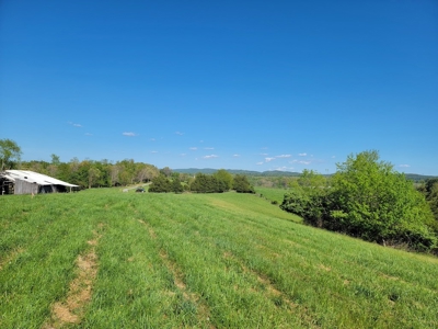 Offering # 4 -  Riner VA Building Lot for Sale at Auction - image 27