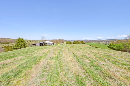 Offering # 4 -  Riner VA Building Lot for Sale at Auction - image 8