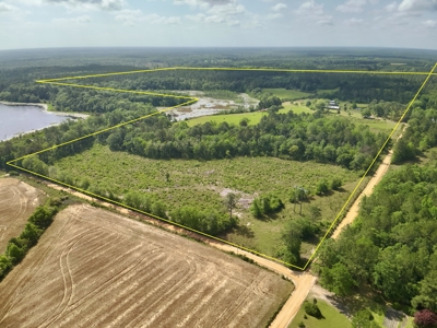 300ac Land & Home for Sale North Florida Farm - Hunting - image 3