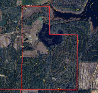 300ac Land & Home for Sale North Florida Farm - Hunting - image 37