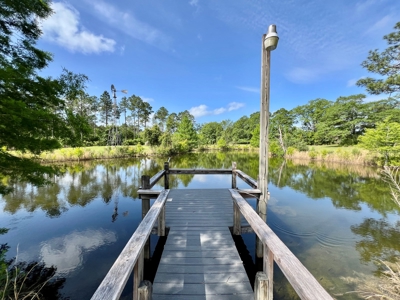 300ac Land & Home for Sale North Florida Farm - Hunting - image 2