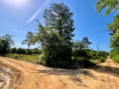 300ac Land & Home for Sale North Florida Farm - Hunting - image 45