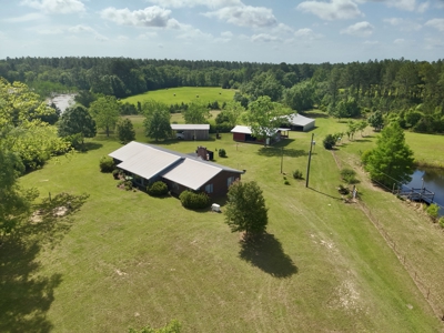 300ac Land & Home for Sale North Florida Farm - Hunting - image 15