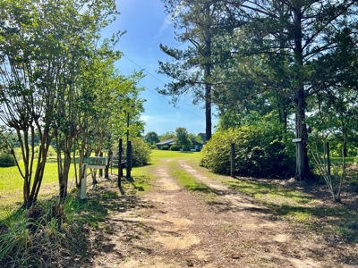 300ac Land & Home for Sale North Florida Farm - Hunting - image 9