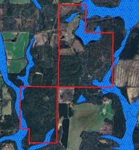 300ac Land & Home for Sale North Florida Farm - Hunting - image 39