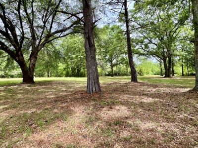 300ac Land & Home for Sale North Florida Farm - Hunting - image 34