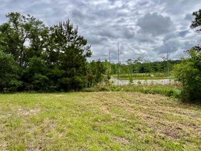 300ac Land & Home for Sale North Florida Farm - Hunting - image 32