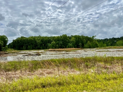 300ac Land & Home for Sale North Florida Farm - Hunting - image 33