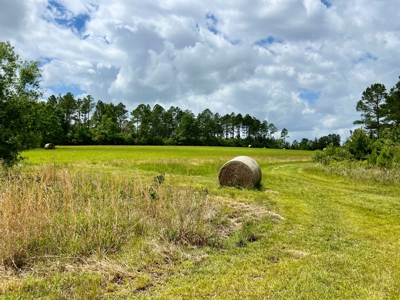 300ac Land & Home for Sale North Florida Farm - Hunting - image 43