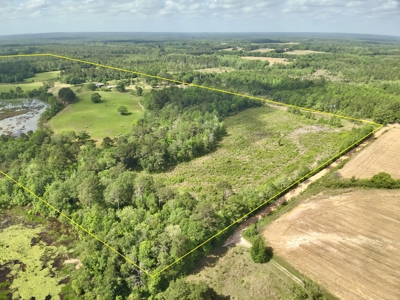 300ac Land & Home for Sale North Florida Farm - Hunting - image 10