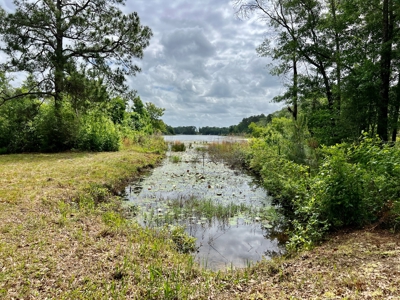 300ac Land & Home for Sale North Florida Farm - Hunting - image 11