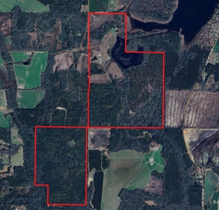 300ac Land & Home for Sale North Florida Farm - Hunting - image 14