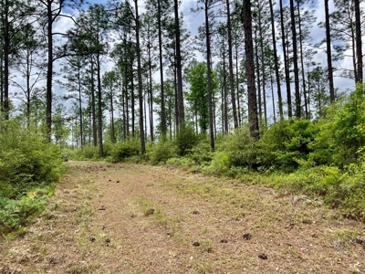 300ac Land & Home for Sale North Florida Farm - Hunting - image 40