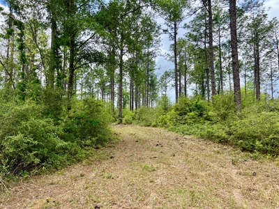 300ac Land & Home for Sale North Florida Farm - Hunting - image 31
