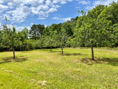 300ac Land & Home for Sale North Florida Farm - Hunting - image 35