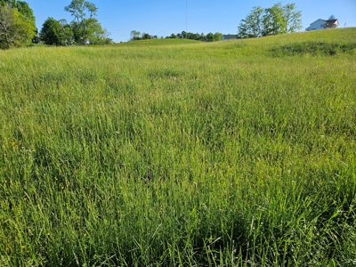 Land for Sale in Bristol VA - image 3