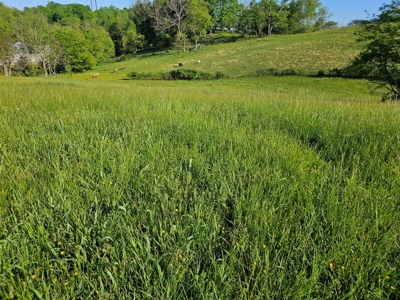 Land for Sale in Bristol VA - image 5
