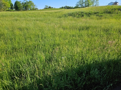 Land for Sale in Bristol VA - image 10
