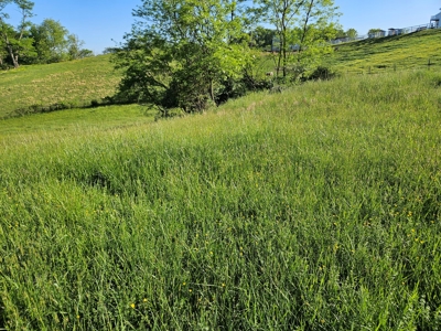 Land for Sale in Bristol VA - image 6