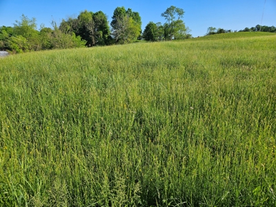 Land for Sale in Bristol VA - image 1