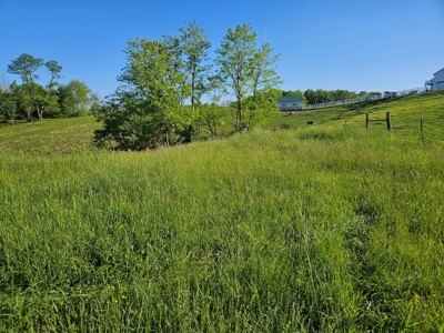 Land for Sale in Bristol VA - image 8