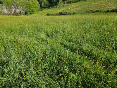 Land for Sale in Bristol VA - image 7
