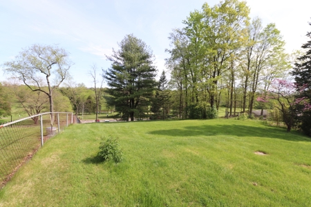 Auction Opportunity in Delaware Ohio on .63 acres - image 28