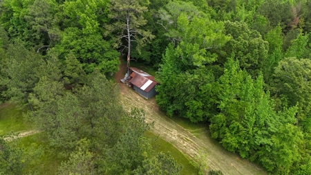 Farmhouse With Land For Sale In Selma, Alabama - image 6