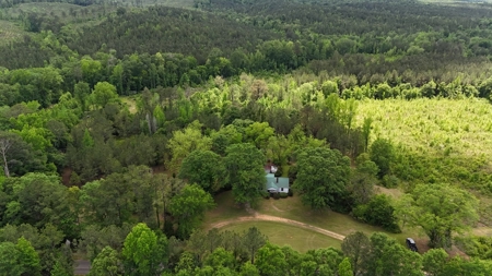 Farmhouse With Land For Sale In Selma, Alabama - image 10