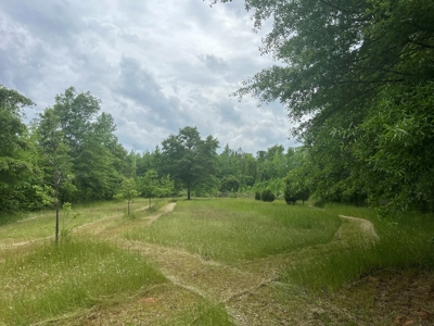 Farmhouse With Land For Sale In Selma, Alabama - image 22