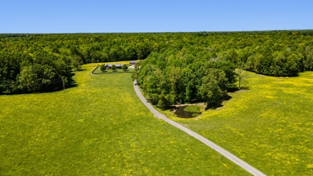 Custom 3 Bed 2 Bath Ranch  Home On 54 Acres - Dunnville, Ky - image 6