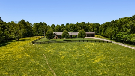Custom 3 Bed 2 Bath Ranch  Home On 54 Acres - Dunnville, Ky - image 10