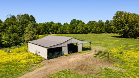 Custom 3 Bed 2 Bath Ranch  Home On 54 Acres - Dunnville, Ky - image 8