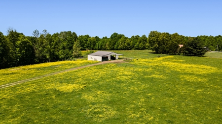 Custom 3 Bed 2 Bath Ranch  Home On 54 Acres - Dunnville, Ky - image 7