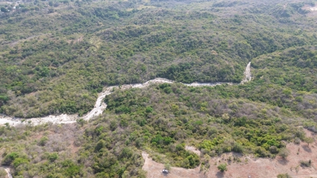 23 hectares farm in El Higo, San Carlos - image 2