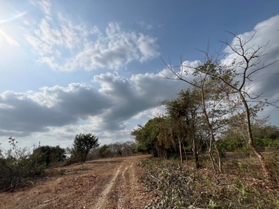 23 hectares farm in El Higo, San Carlos - image 9