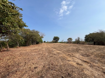 23 hectares farm in El Higo, San Carlos - image 15