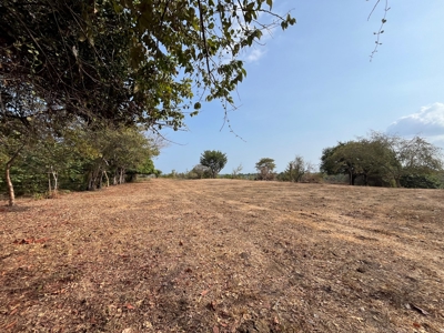 23 hectares farm in El Higo, San Carlos - image 16