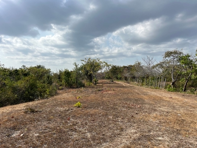23 hectares farm in El Higo, San Carlos - image 12