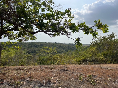 23 hectares farm in El Higo, San Carlos - image 14