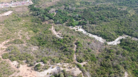 23 hectares farm in El Higo, San Carlos - image 1