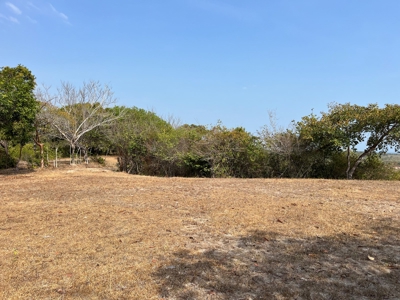 23 hectares farm in El Higo, San Carlos - image 6