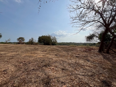 23 hectares farm in El Higo, San Carlos - image 17