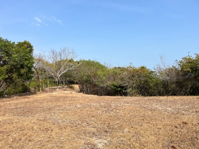 23 hectares farm in El Higo, San Carlos - image 8