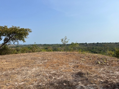 23 hectares farm in El Higo, San Carlos - image 7