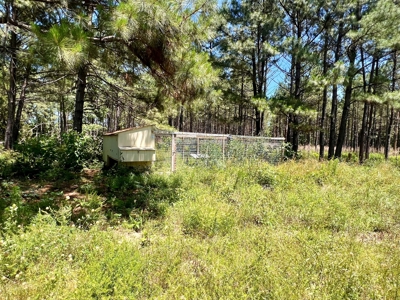 East Texas Country Home On ±48.17 Acres With Barn And Pool - image 19