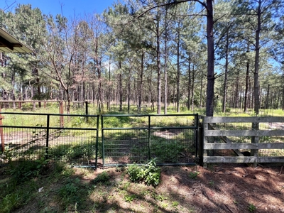 East Texas Country Home On ±48.17 Acres With Barn And Pool - image 14