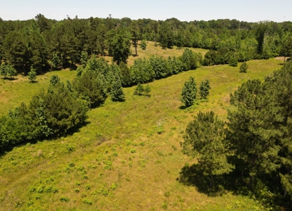 East Texas Country Home On ±48.17 Acres With Barn And Pool - image 12