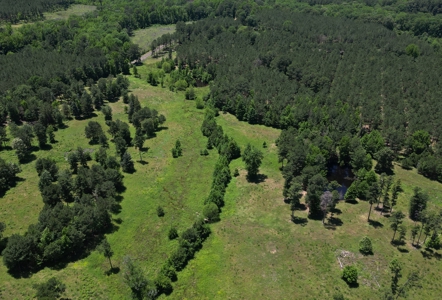 East Texas Country Home On ±48.17 Acres With Barn And Pool - image 11