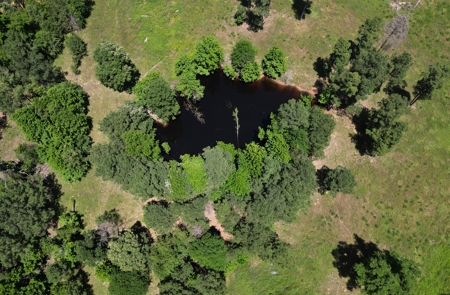 East Texas Country Home On ±48.17 Acres With Barn And Pool - image 10